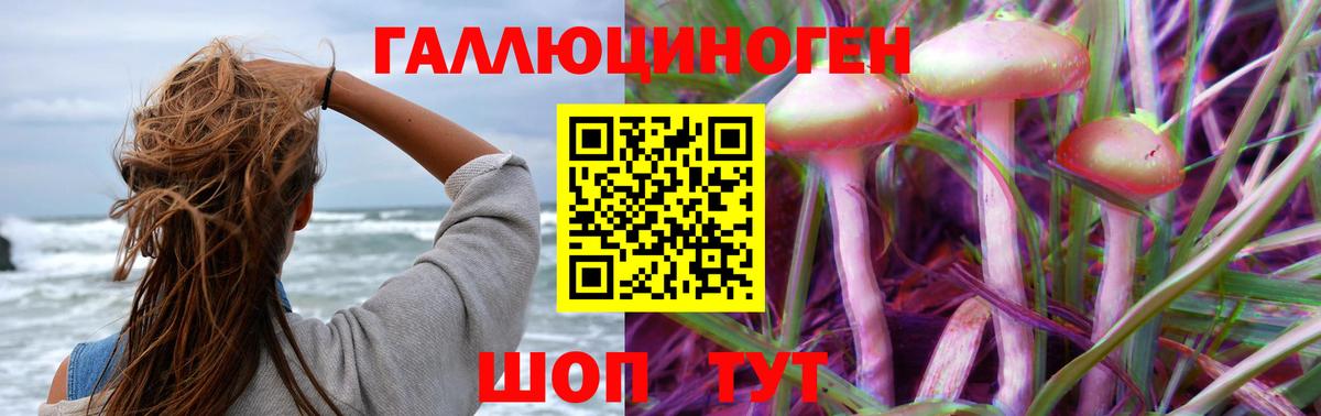 Лесосибирск  Псилоцибиновые грибы мицелий  Вход с VPN  Псилоцибиновые грибы Cubensis 
